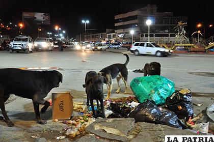 Por incumplir normativa sobre residuos se podría pagar algo más de 66 mil bolivianos