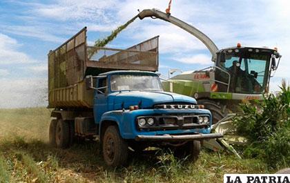 Pequeños productores exigen al gobierno biotecnología /ANF