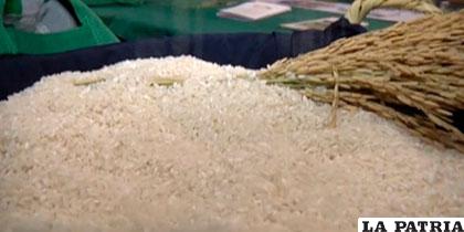 Cultivos de arroz se habrían perdido en algunos municipios /meganoticias.mx