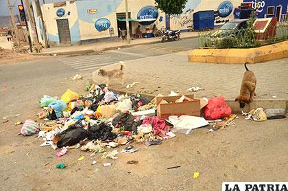 Reglamento busca sancionar a quienes botan basura en las calles