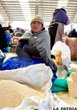 Precio de la quinua oscila entre 300 y 350 bolivianos el quintal