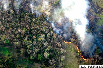 Solo se pudo controlar dos de los 19 incendios en la Reserva de la Biosfera Maya