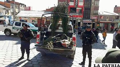 La marihuana fue resguardada por efectivos policiales