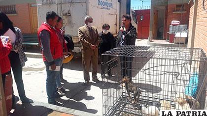 En la visita, los concejales pidieron mejorar la atención a los animales
