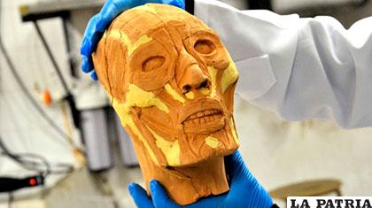 Uno de los moldes hecho en base a los cráneos tiwanakotas /ANF