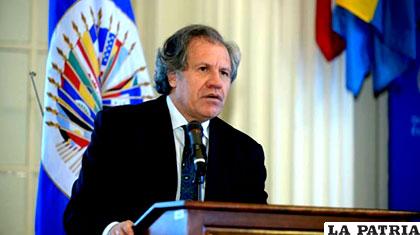 Secretario general de la Organización de Estados Americanos (OEA), Luis Almagro /OEA