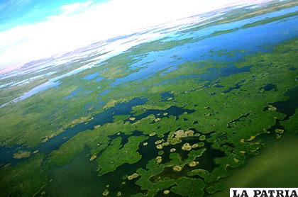 Producción de peces en el lago Uru Uru se redujo considerablemente