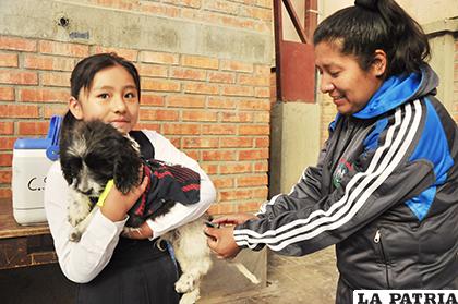 Por el Día del Niño Boliviano, infantes son impulsados a cuidar a sus mascotas /LA PATRIA