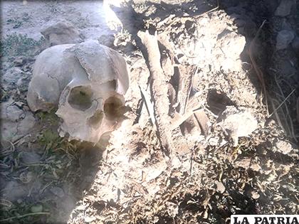 Uno de los cráneos y huesos /LA PATRIA