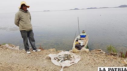 Aproximadamente 170 familias se dedican a la pesca en el 