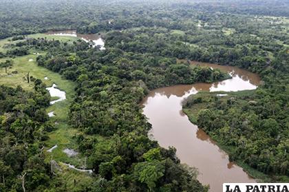 La Amazonía también encierra sus imsterios /MONGABAY.COM