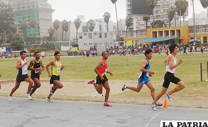 Vidal Basco (tercero) durante la prueba en 10 mil metros en Perú/cortesía Nemia Coca
