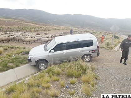 En este motorizado circulaban cinco personas