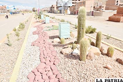 Los cactus también 
tienen su lugar