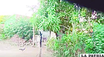Ingreso a la vivienda de la familia en Montero /OTV
