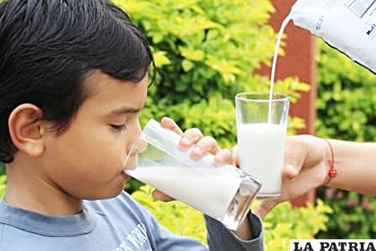 Además de incentivar el consumo del lácteo, la ley beneficiará a más de 25 mil familias productoras de leche /ABI

