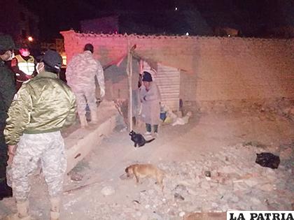 El alimento fue distribuido a varios animales de la calle /LA PATRIA