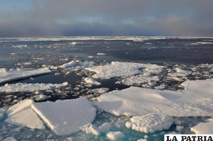 Bloques de hielo en el océano Ártico