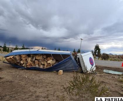 El camión volcó a un costado de la carretera /LA PATRIA