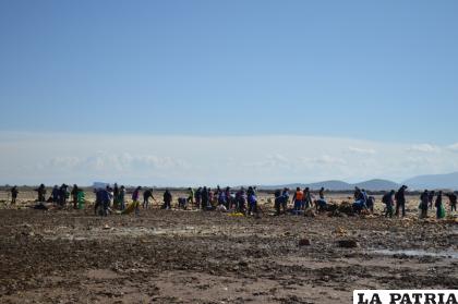 Una gran cantidad de personas participó de la actividad de limpieza