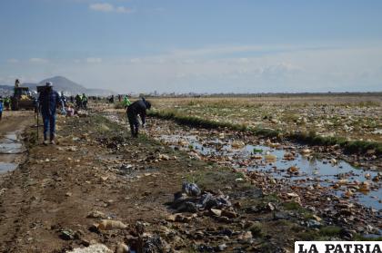 La limpieza busca cambiar el deplorable panorama de las orillas del lago