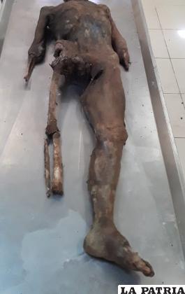 La persona habría sido devorada por algún animal /LA PATRIA