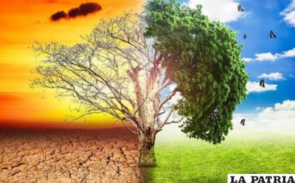 En la superficie o la tierra, el cambio climático se nota cada día mucho más