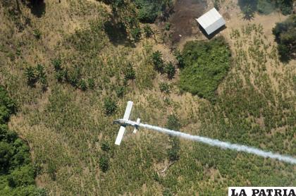 En esta fotografía de archivo del 4 de junio de 2008, la policía antinarcóticos rocía herbicidas sobre los campos de coca en El Tarra /AP Foto/Luis Robayo, Archivo