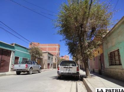 En el sector del árbol es donde ocurrió el hecho /LA PATRIA