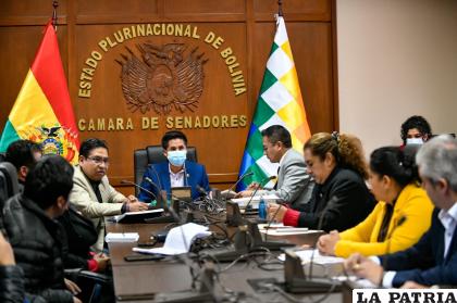  Sesión de la Comisión Mixta de Constitución, Legislación y Sistema Electoral / Prensa
