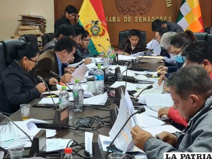 La Comisión Mixta de Constitución hoy termina de revisar la lista de postulantes /SENADO