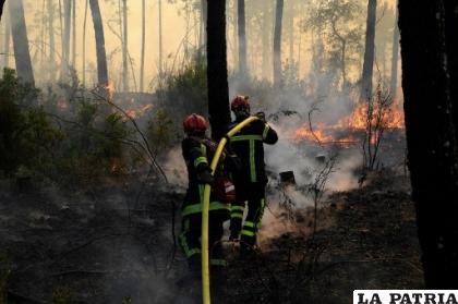 Los incendios forestales son un mal para la vida / NICOLAS TUCAT / AFP