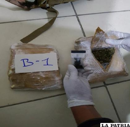 La Felcn comprobó que la sustancia era marihuana / Cortesía