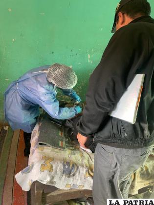 Una médico forense realiza la valoración externa al fallecido 
/Cortesía

