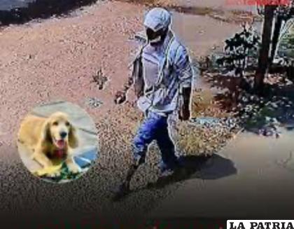 Las imágenes de la cámara de seguridad que ayudaron a identificar al biocida /FGE 
