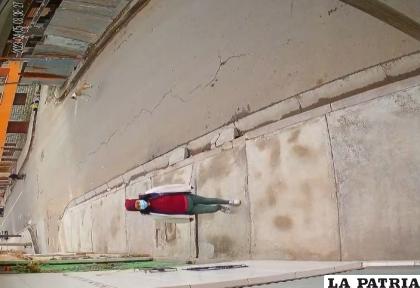 Momento de la caída del can a la calzada 
/Captura de video