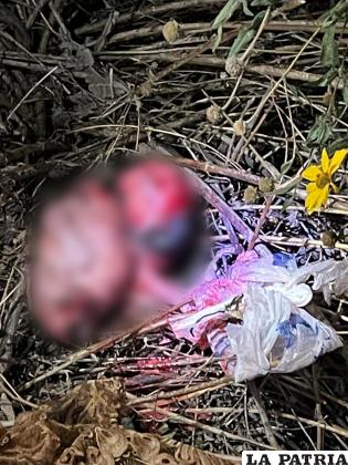 Vecinos alertaron a la Policía del feto que estaba siendo devorado por canes /LA PATRIA