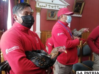 Gallos rescatados de pelea ilegal /LA PATRIA