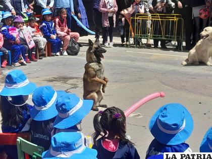 La demostración de habilidades caninas se ganó los aplausos de los niños /LA PATRIA
