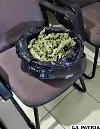 La sustancia dio positivo para marihuana /LA PATRIA