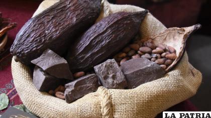 Muestra de cacao boliviano /ABI