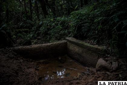 Además del barro acumulado, el poco caudal del arroyo hace que este canal ya no funcione al 100% de su capacidad /Marcelo Pérez