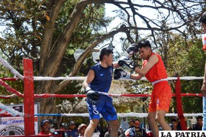 El boxeo va sumando más talentos para mejorar el nivel técnico /LA PATRIA