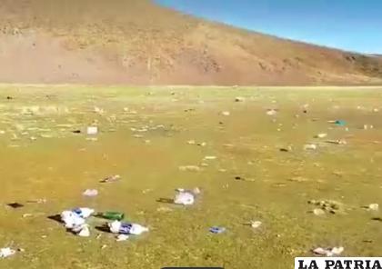 Basura dejada luego de la excursión de la unidad facultativa 
/Captura 
