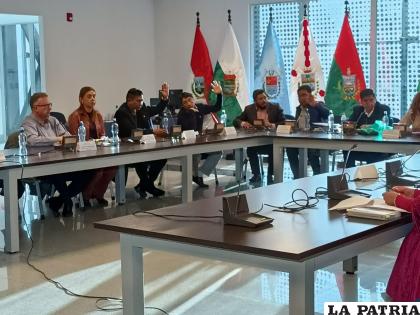 La sesión de la Comisión Mixta realizada ayer en la ALP /LA PATRIA