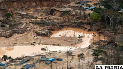 La minería y agricultura han generado un avance rápido de la deforestación /Grupo Orinoco Energía y Ambiente