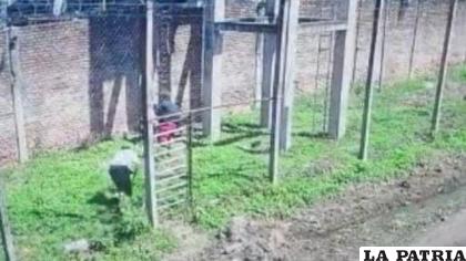 Este es el sector por el intentaron escalar / Página Siete