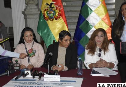 Legisladores anunciaron que se retoma el trabajo de recepción de postulantes /APG