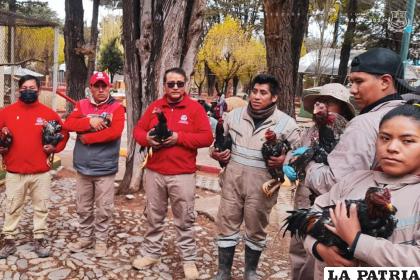 Gallos de pelea fueron trasladados al Zoológico /GAMO