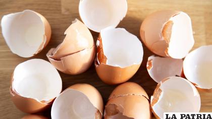El huevo es uno de los alimentos más consumidos en el mundo y su cáscara casi siempre es tirada /RRSS
